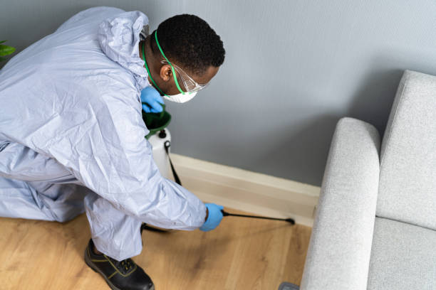 Best Pest Prevention Services  in Wheeling, IL